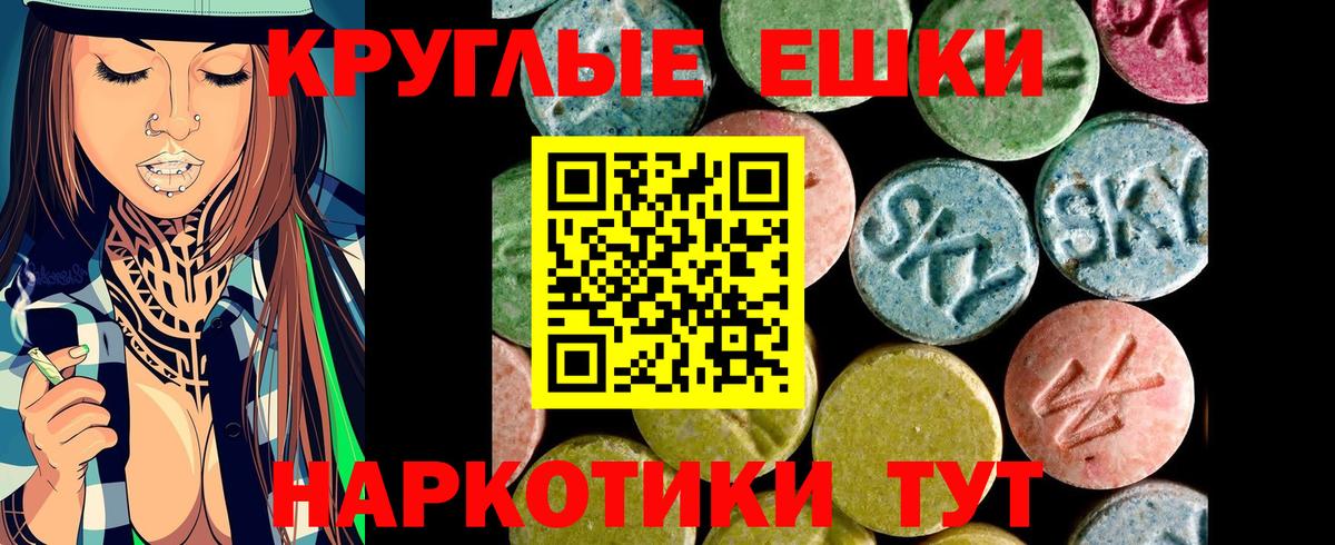 ЭКСТАЗИ Philipp Plein Ессентуки
