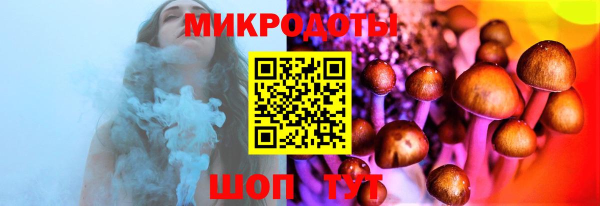 где купить   Вход с VPN  Ессентуки  Галлюциногенные грибы Psilocybine cubensis 