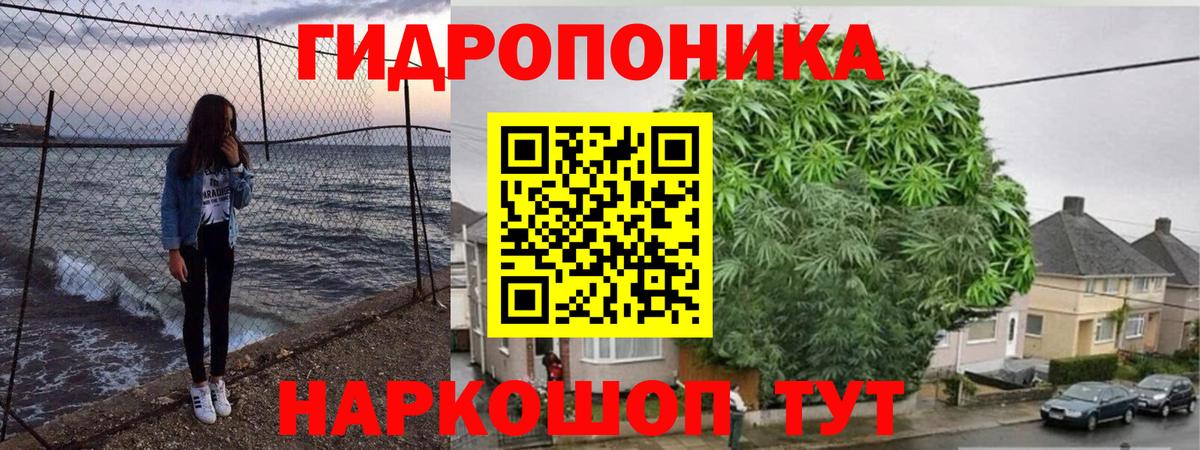 Бошки марихуана ГИДРОПОН Ессентуки